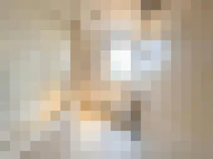 Regentenstraat 15 Sluiskil thumbnail 8