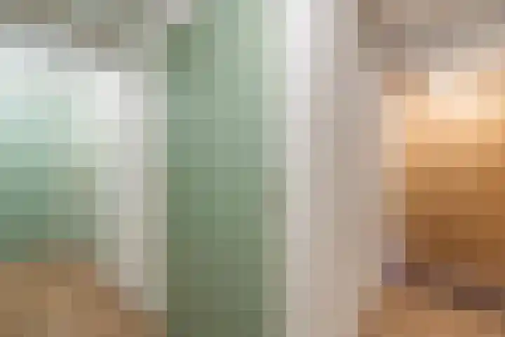 Regentenstraat 16 Schagen thumbnail 36