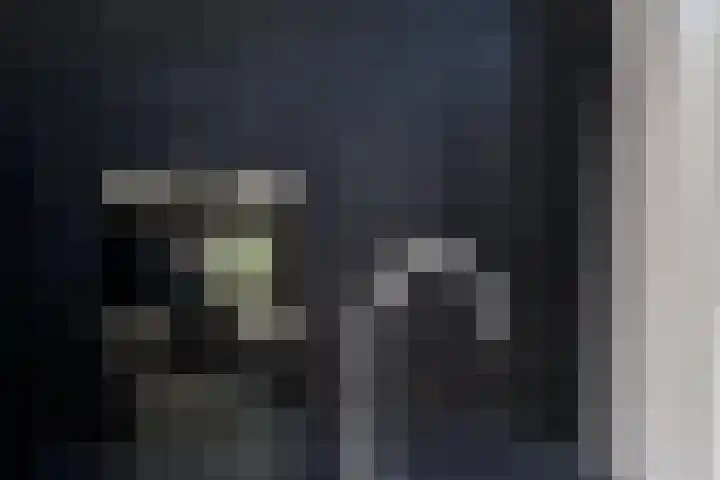 Regentenstraat 17 Raamsdonk thumbnail 16