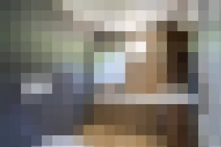 Regentenstraat 17 Raamsdonk thumbnail 27