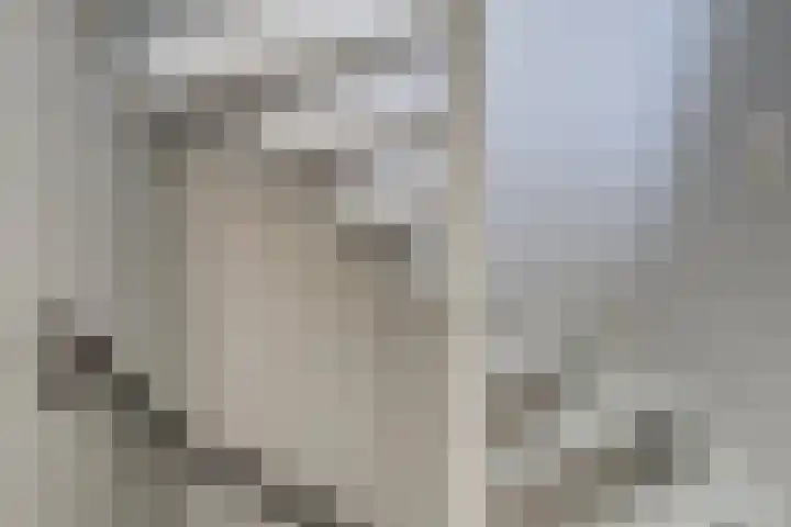 Regentenstraat 17 Raamsdonk thumbnail 33