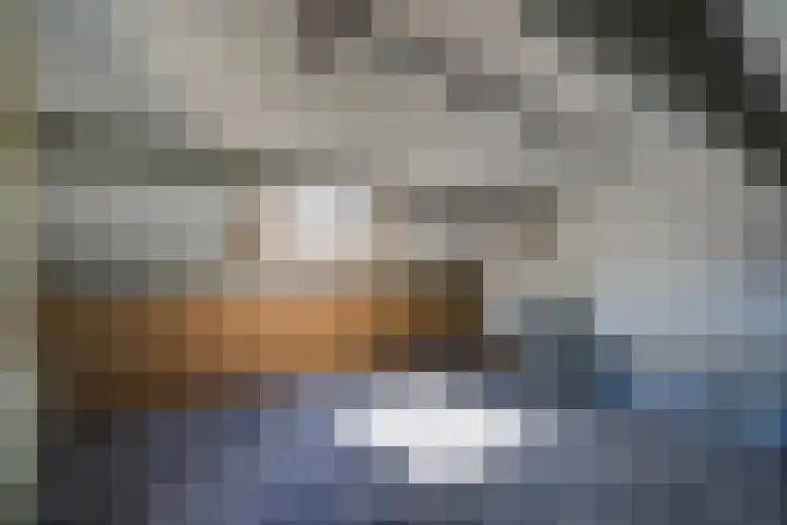 Regentenstraat 17 Raamsdonk thumbnail 35