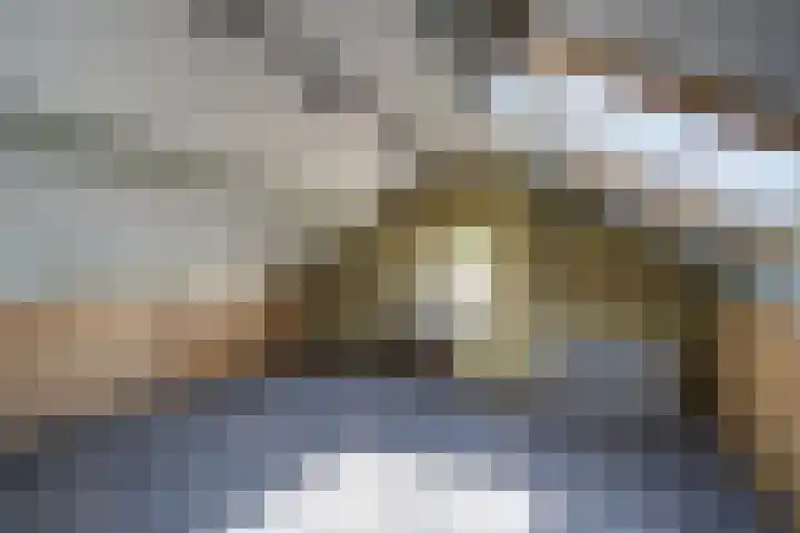 Regentenstraat 17 Raamsdonk thumbnail 36