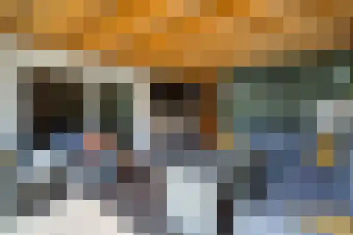 Regentenstraat 17 Raamsdonk thumbnail 38