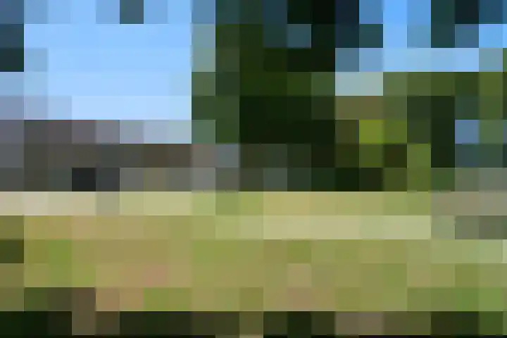 Regentenstraat 17 Raamsdonk thumbnail 44