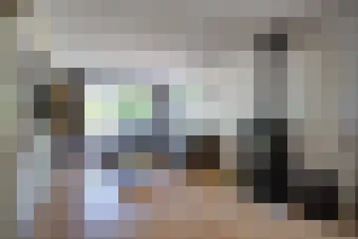 Regentenstraat 17 Raamsdonk thumbnail 8