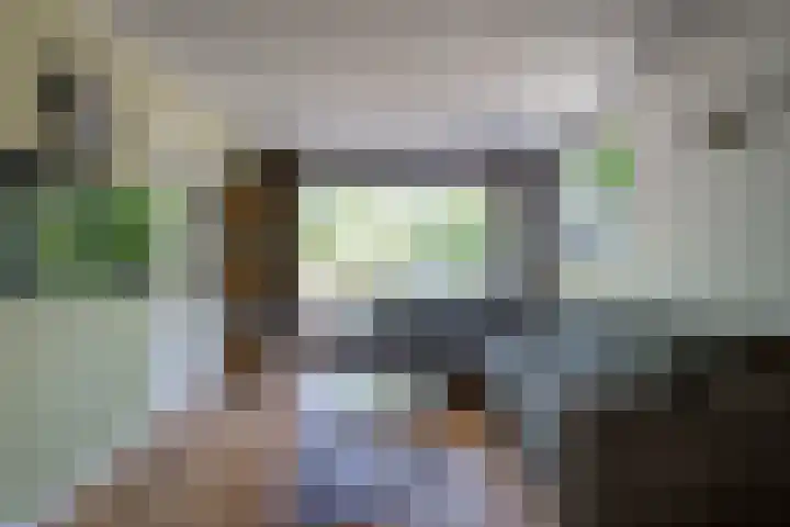 Regentenstraat 17 Raamsdonk thumbnail 9