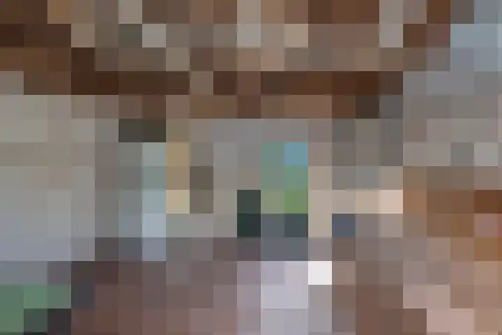 Regentenstraat 18 Schagen thumbnail 22