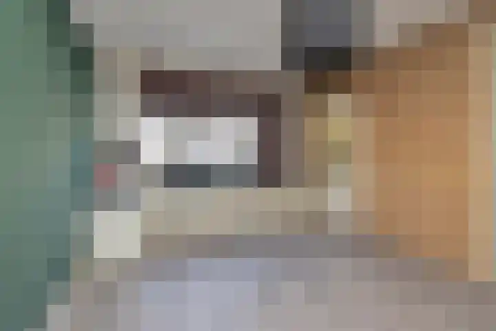 Regentenstraat 18 Schagen thumbnail 6