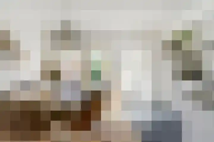 Regentenstraat 20 Schagen thumbnail 11
