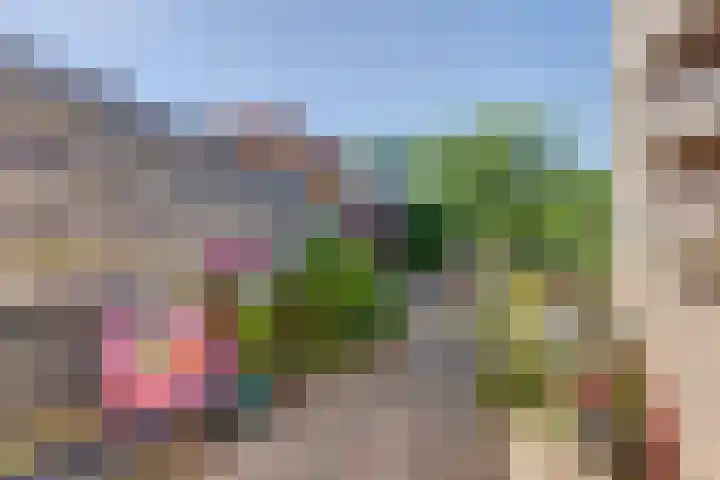 Regentenstraat 20 Schagen thumbnail 19