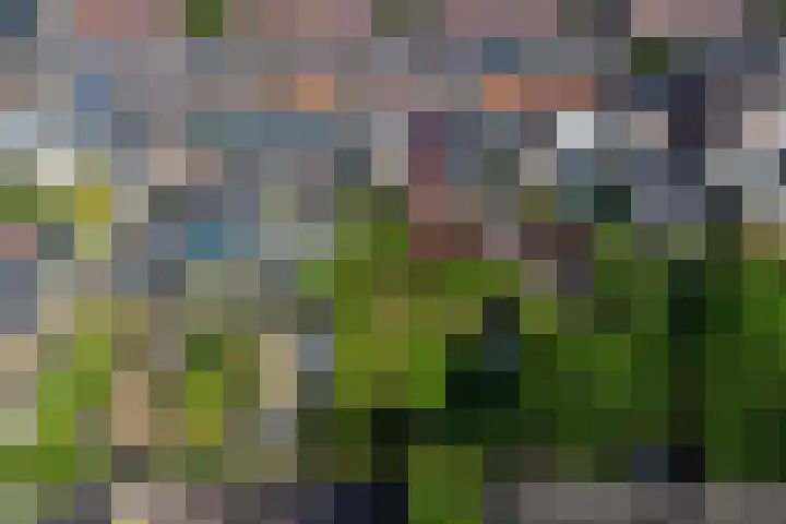 Regentenstraat 20 Schagen thumbnail 6