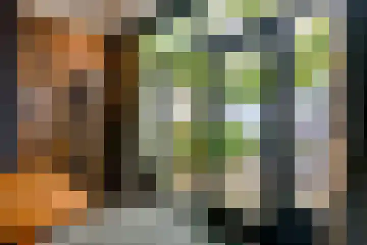 Regentenstraat 48 Schagen thumbnail 11