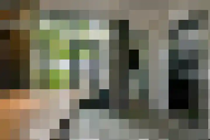 Regentenstraat 48 Schagen thumbnail 17