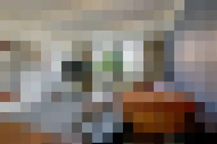 Regentenstraat 48 Schagen thumbnail 8