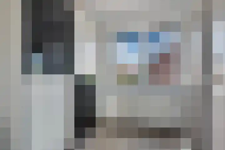 Regentenstraat 50 Sluiskil thumbnail 24