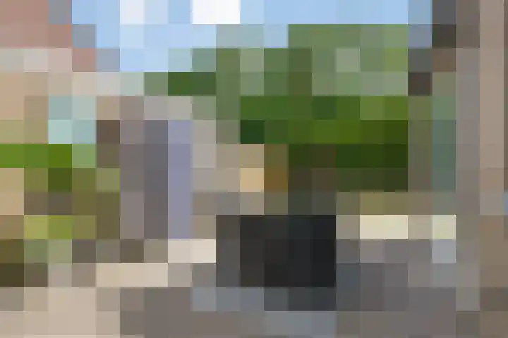 Regentenstraat 50 Sluiskil thumbnail 29