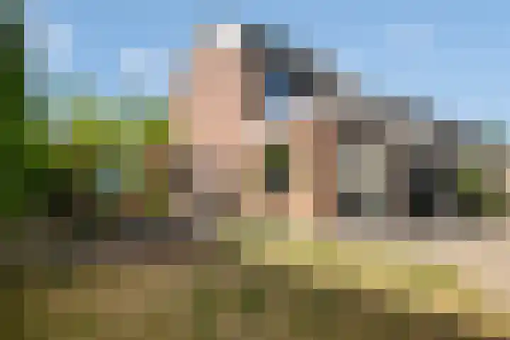 Regentenstraat 50 Sluiskil thumbnail 32