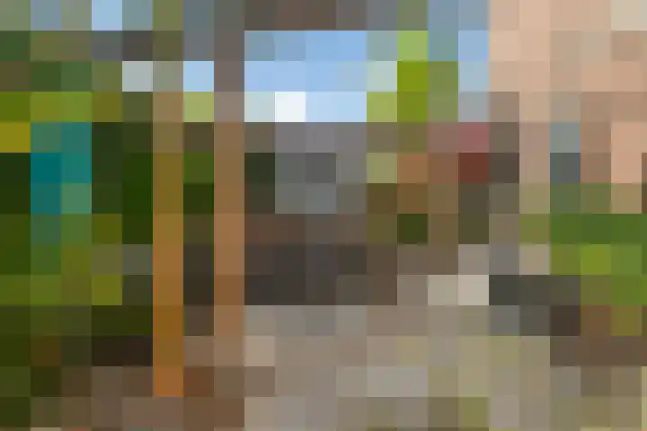 Regentenstraat 50 Sluiskil thumbnail 5