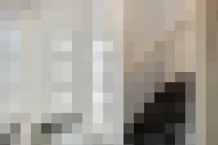 Regentenstraat 50 Sluiskil thumbnail 8