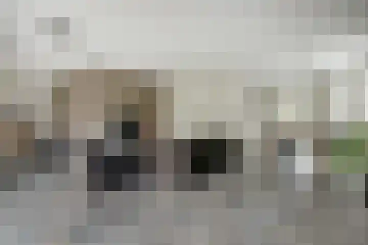 Regentes 25 Brielle thumbnail 10