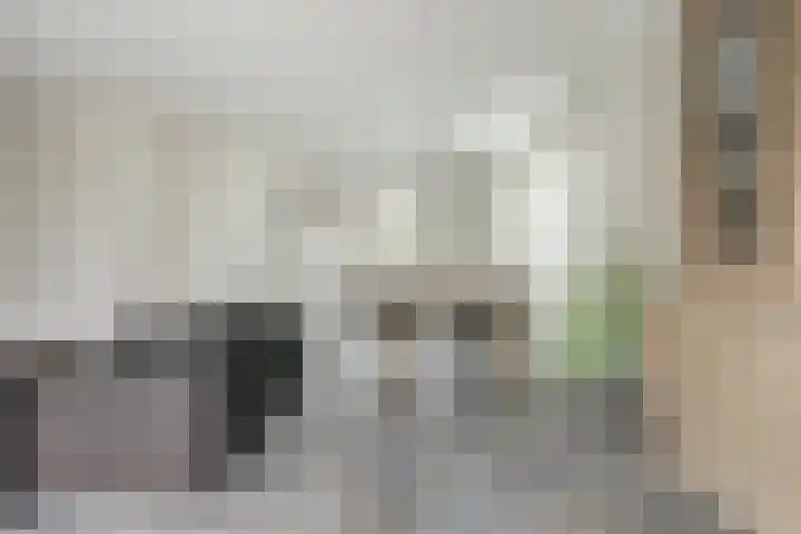 Regentes 25 Brielle thumbnail 11