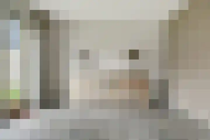 Regentes 25 Brielle thumbnail 12