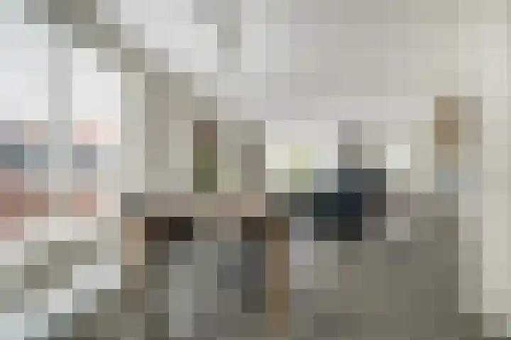 Regentes 25 Brielle thumbnail 14