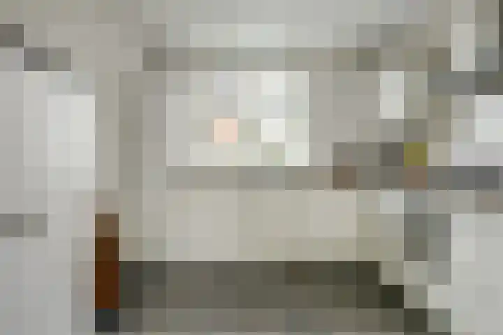 Regentes 25 Brielle thumbnail 15