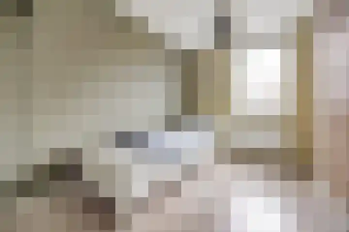 Regentes 25 Brielle thumbnail 18