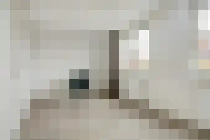 Regentes 25 Brielle thumbnail 21