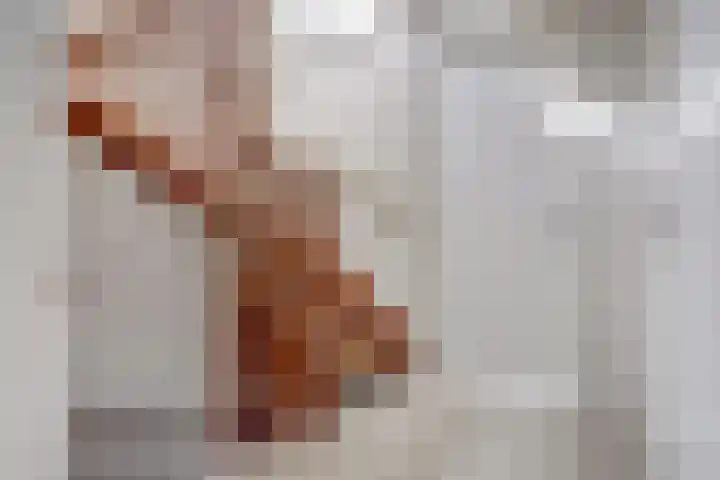 Regentes 25 Brielle thumbnail 26