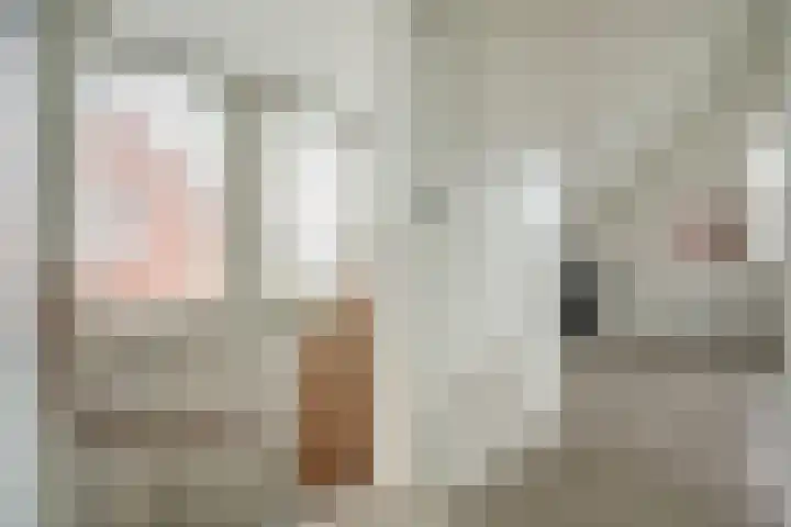 Regentes 25 Brielle thumbnail 27