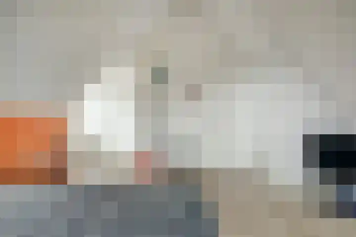 Regentes 25 Brielle thumbnail 31