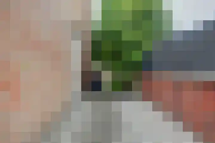 Regentes 25 Brielle thumbnail 36