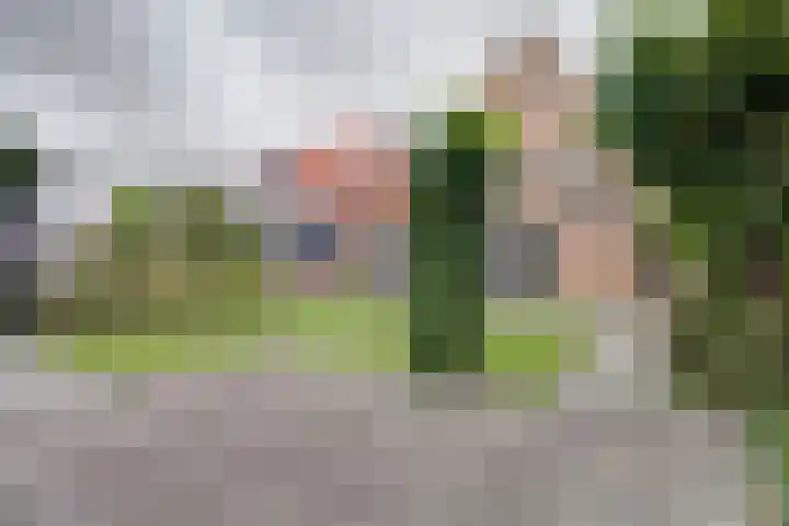 Regentes 25 Brielle thumbnail 38