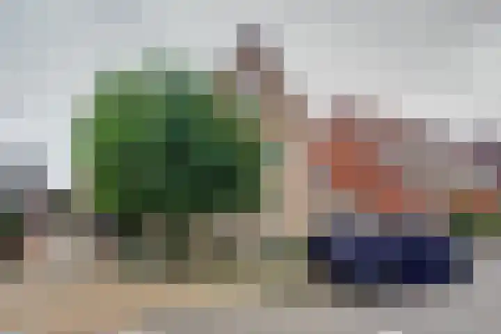 Regentes 25 Brielle thumbnail 6