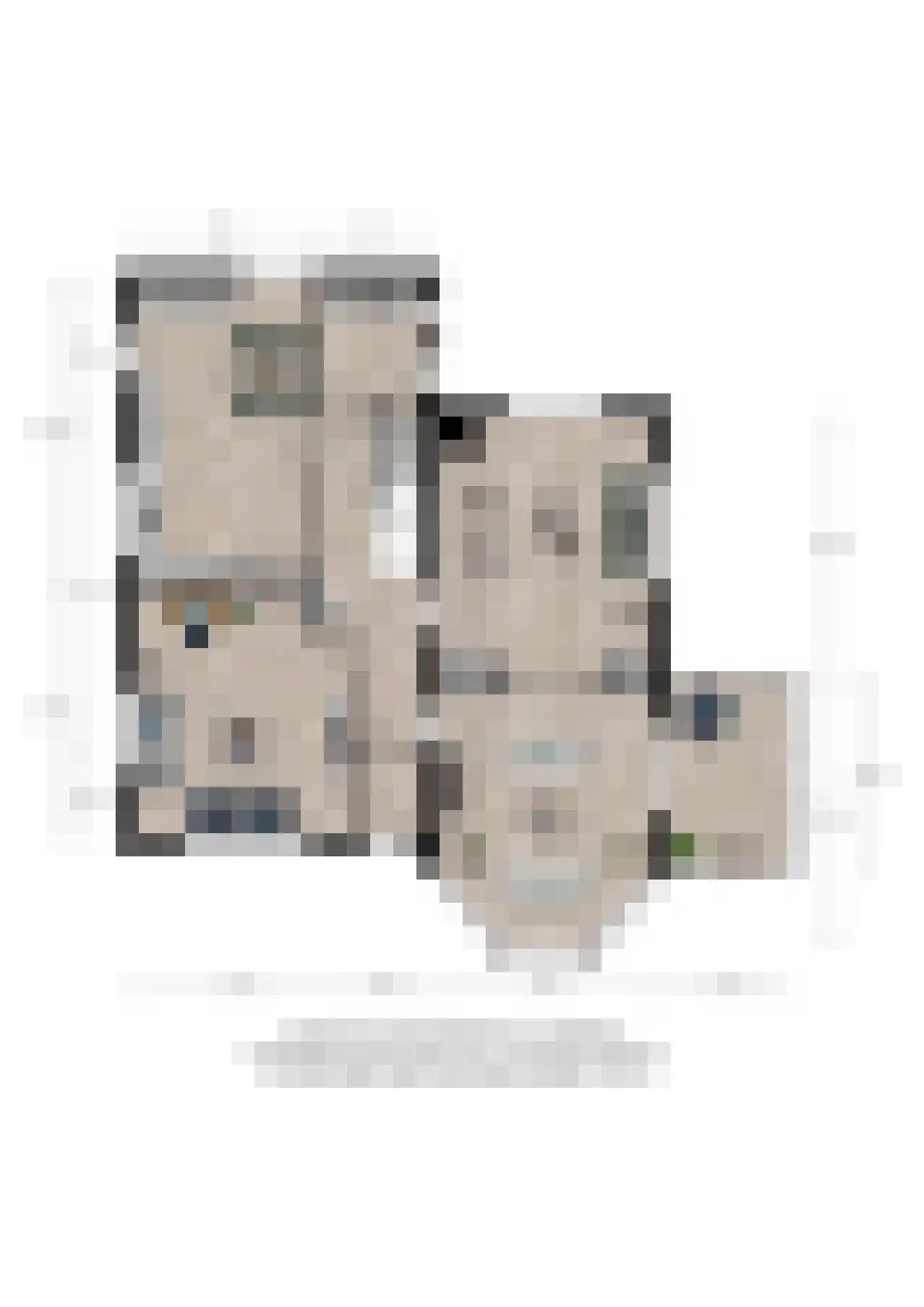 Regentesselaan 10 Apeldoorn thumbnail 35