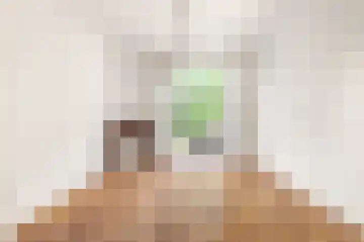 Regentesselaan 10 Haarlem thumbnail 18