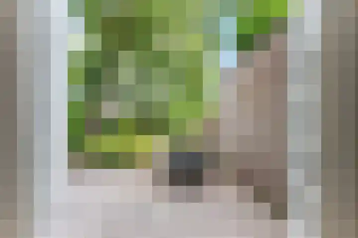 Regentesselaan 10 Haarlem thumbnail 21