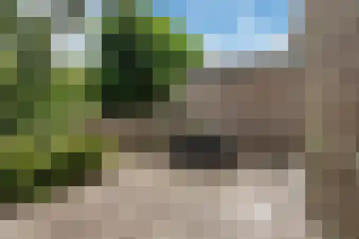 Regentesselaan 10 Haarlem thumbnail 23