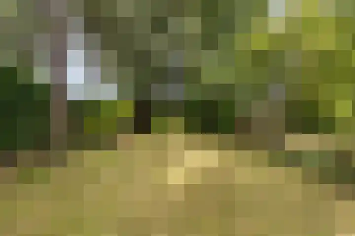 Regentesselaan 10 Haarlem thumbnail 24