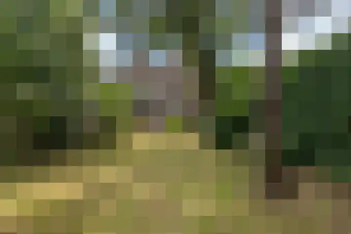 Regentesselaan 10 Haarlem thumbnail 26