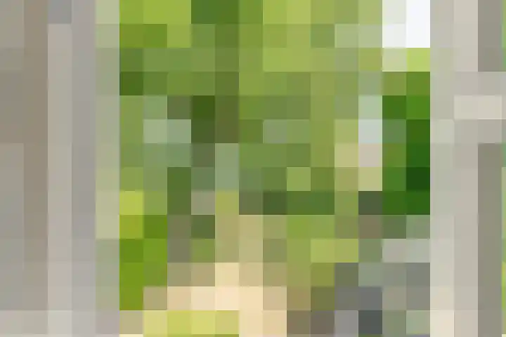Regentesselaan 10 Haarlem thumbnail 43