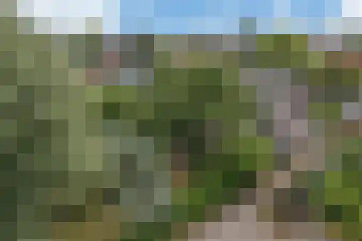 Regentesselaan 10 Haarlem thumbnail 57