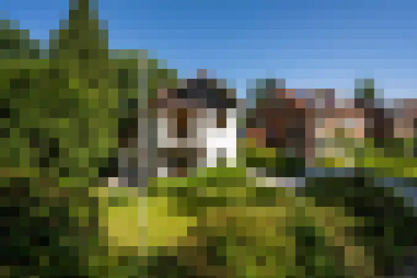 Regentesselaan 11 Zeist