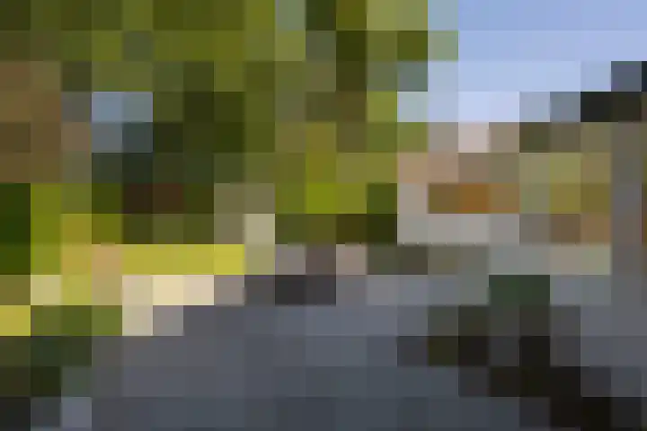 Regentesselaan 11 Zeist thumbnail 21