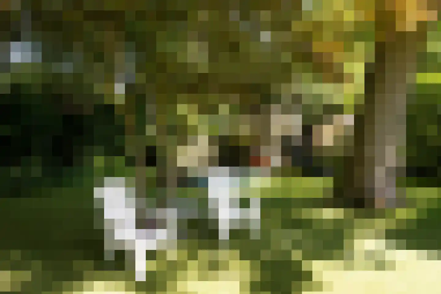 Regentesselaan 11 Zeist thumbnail 22