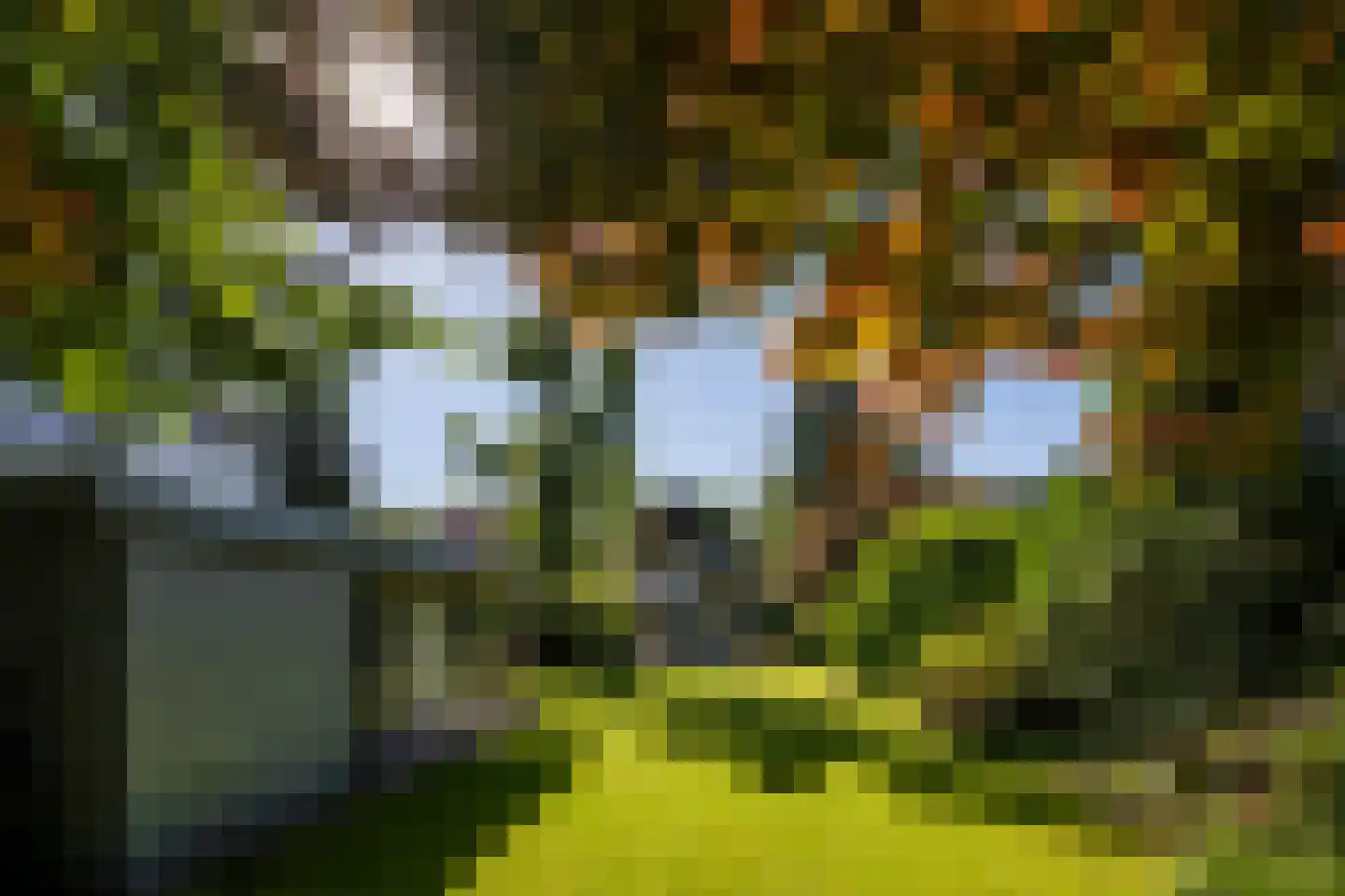 Regentesselaan 11 Zeist thumbnail 23