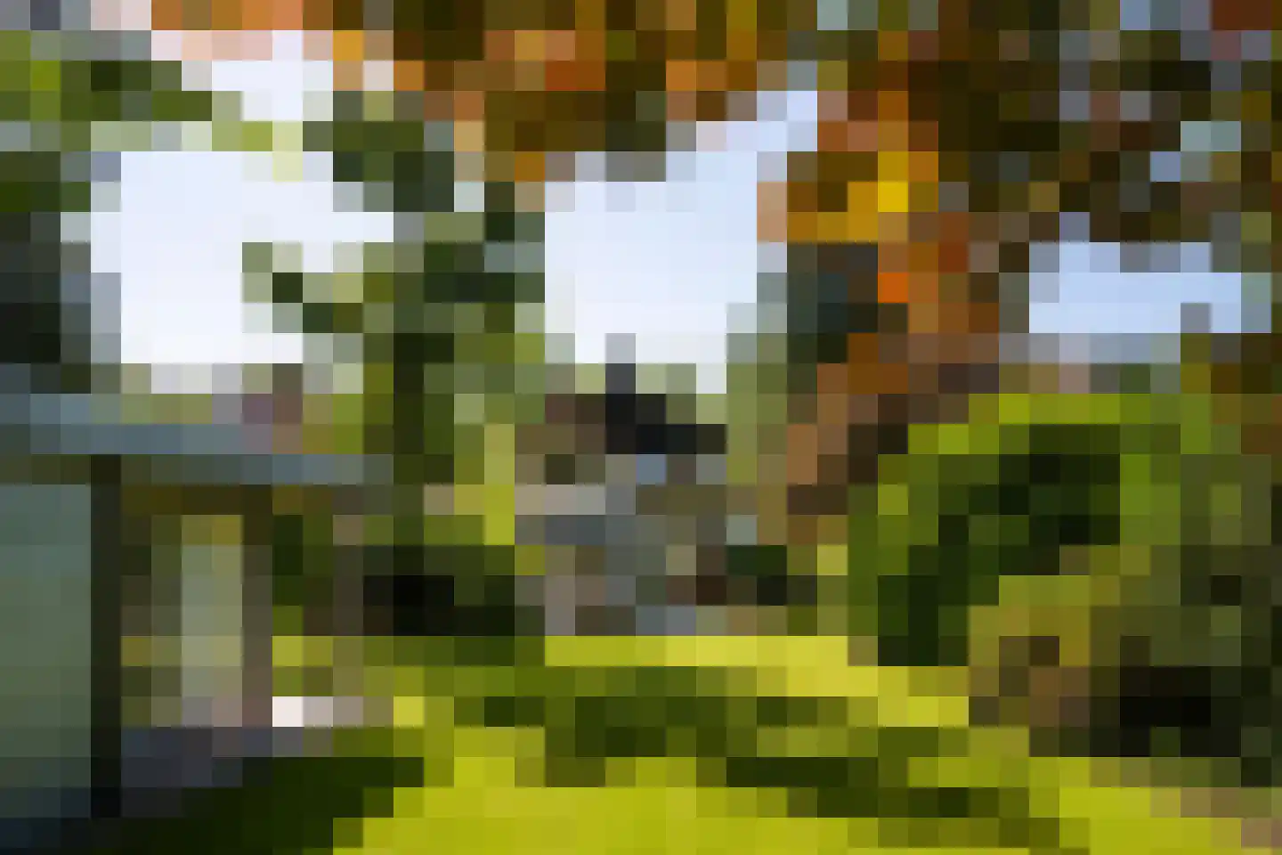 Regentesselaan 11 Zeist thumbnail 24